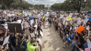 Florida Gun Protest